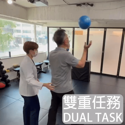 DUAL TASK