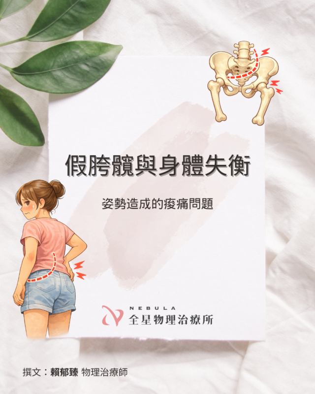 假胯髖